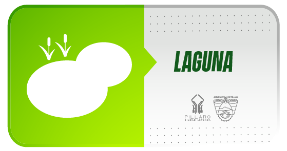Laguna