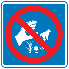 No Recolectar Flora y Fauna