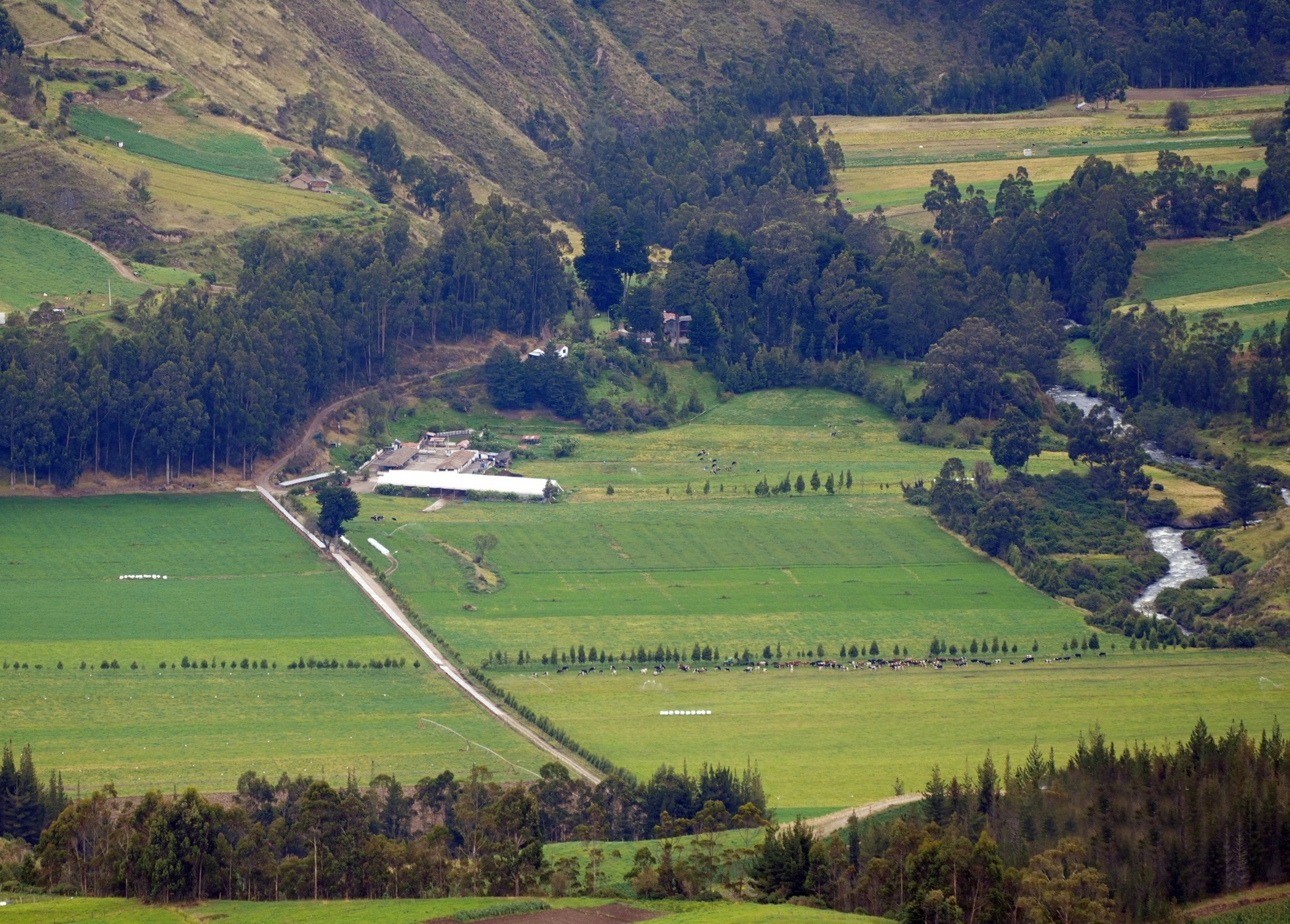 Costumbres y Tradiciones